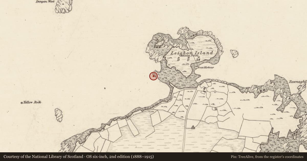 Ordnance Survey six-inch map, 2nd edition (1888–1915) covering the location of Ritual site - holy well, Leighon Island, County Galway, with a pin at the register's coordinates