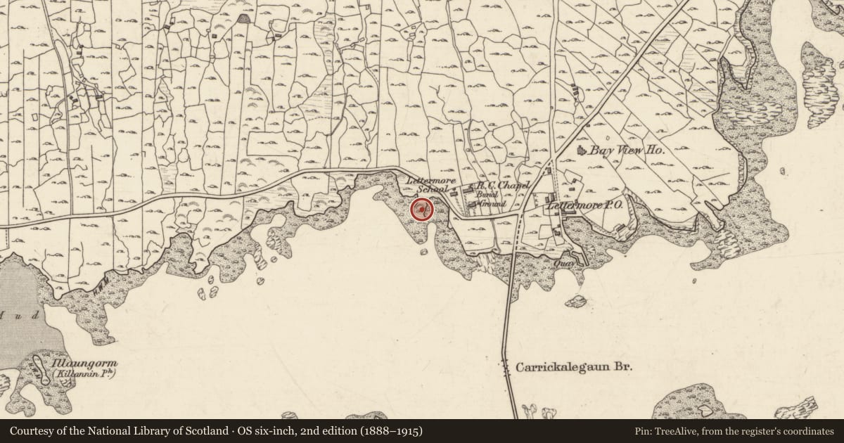 Ordnance Survey six-inch map, 2nd edition (1888–1915) covering the location of Children's burial ground, Lettermore (Kilannin Par.), County Galway, with a pin at the register's coordinates
