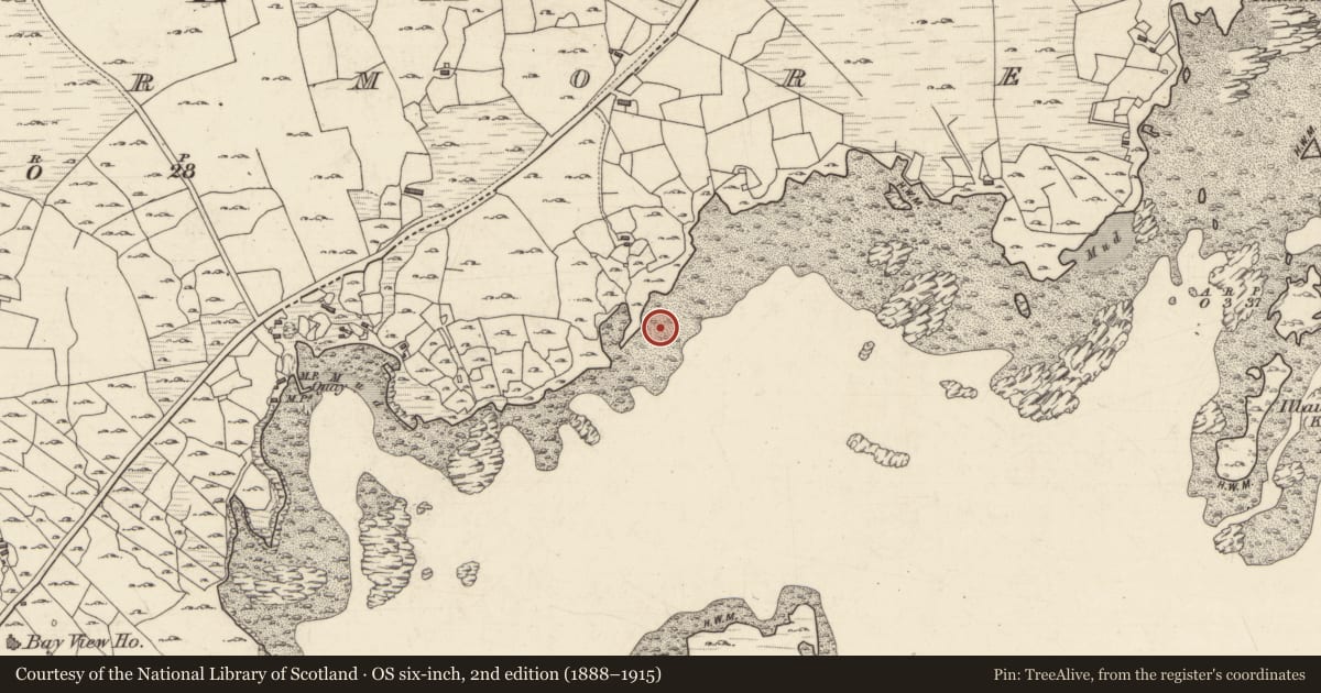 Ordnance Survey six-inch map, 2nd edition (1888–1915) covering the location of Ritual site - holy well, Lettermore (Kilannin Par.), County Galway, with a pin at the register's coordinates