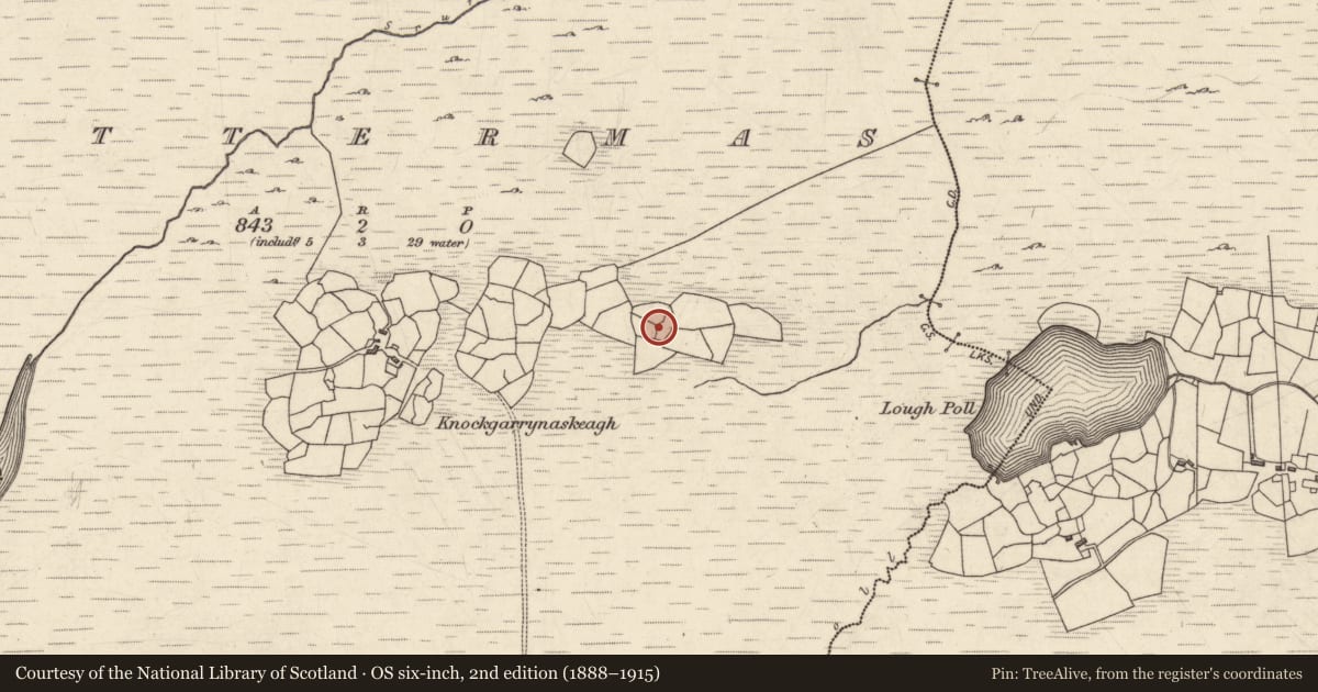 Ordnance Survey six-inch map, 2nd edition (1888–1915) covering the location of Enclosure, Leitir Meas, County Galway, with a pin at the register's coordinates