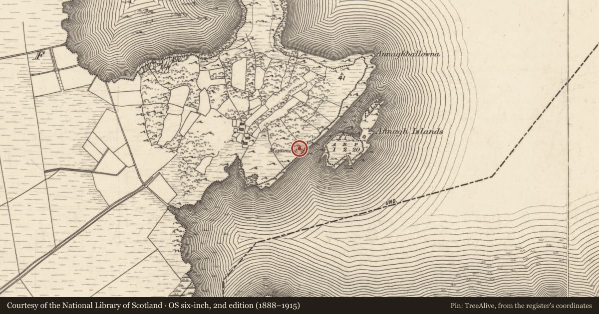 Ordnance Survey six-inch map, 2nd edition (1888–1915) covering the location of Monumental structure, Cluain Duibh, County Galway, with a pin at the register's coordinates