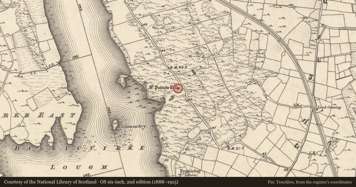 Ordnance Survey six-inch map, 2nd edition (1888–1915) covering the location of Ritual site - holy well, Cluain Duibh, County Galway, with a pin at the register's coordinates