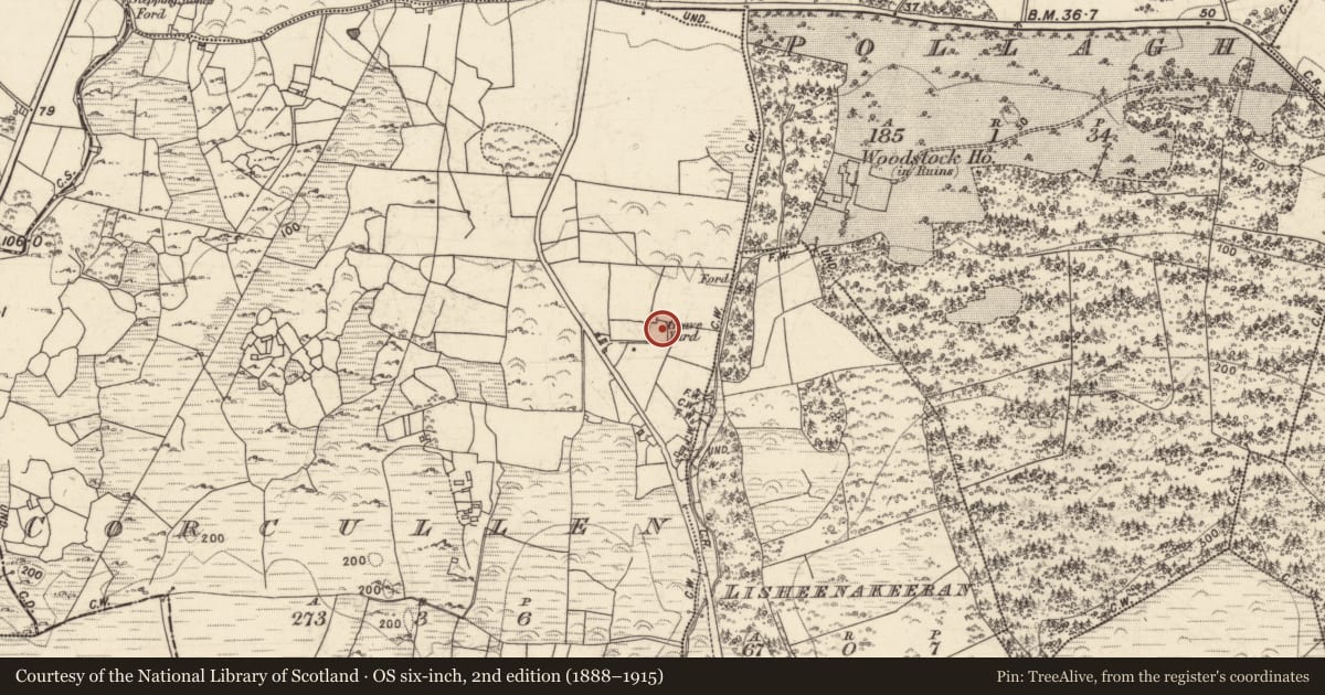 Ordnance Survey six-inch map, 2nd edition (1888–1915) covering the location of Church, Corr Chuillinn (TC Bearna), County Galway, with a pin at the register's coordinates