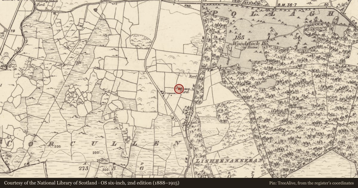 Ordnance Survey six-inch map, 2nd edition (1888–1915) covering the location of Children's burial ground, Corr Chuillinn (TC Bearna), County Galway, with a pin at the register's coordinates