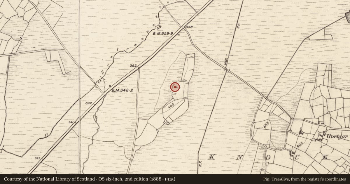 Ordnance Survey six-inch map, 2nd edition (1888–1915) covering the location of Barrow - unclassified, An Cnoc (TC An Spidéal), County Galway, with a pin at the register's coordinates
