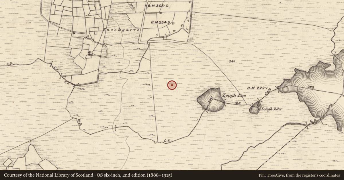 Ordnance Survey six-inch map, 2nd edition (1888–1915) covering the location of Kiln, Leamhchoill, County Galway, with a pin at the register's coordinates