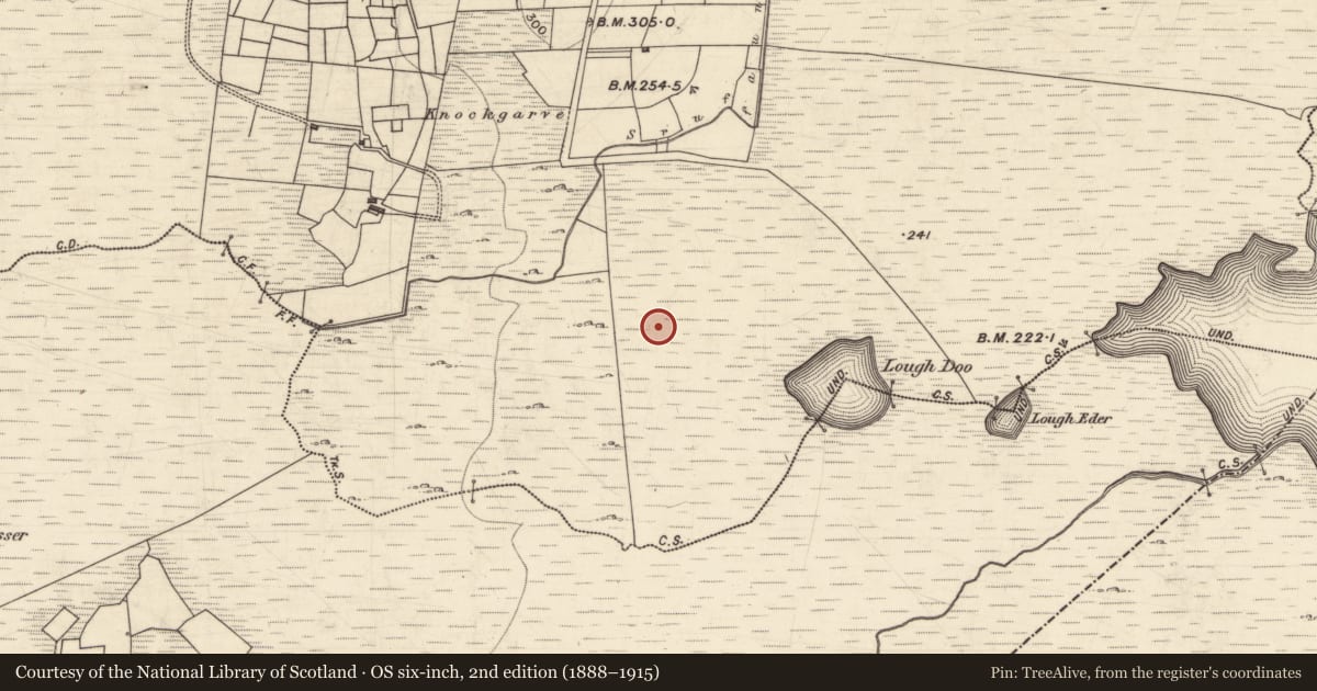 Ordnance Survey six-inch map, 2nd edition (1888–1915) covering the location of Hut site, Leamhchoill, County Galway, with a pin at the register's coordinates