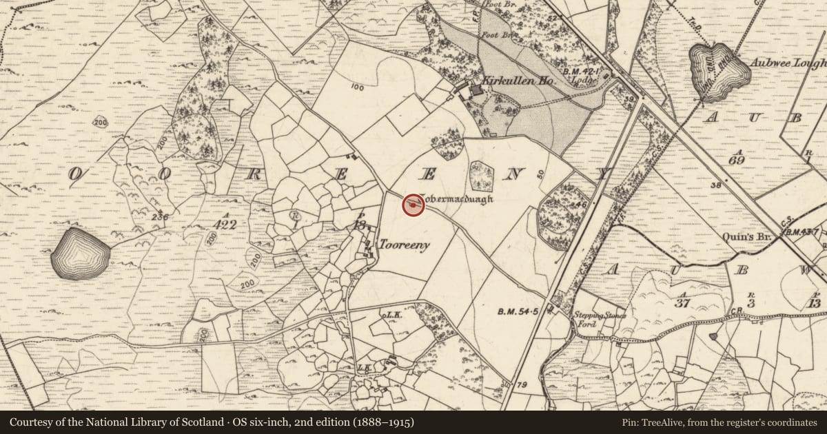 Ordnance Survey six-inch map, 2nd edition (1888–1915) covering the location of Ritual site - holy well, Na Tuairíní, County Galway, with a pin at the register's coordinates