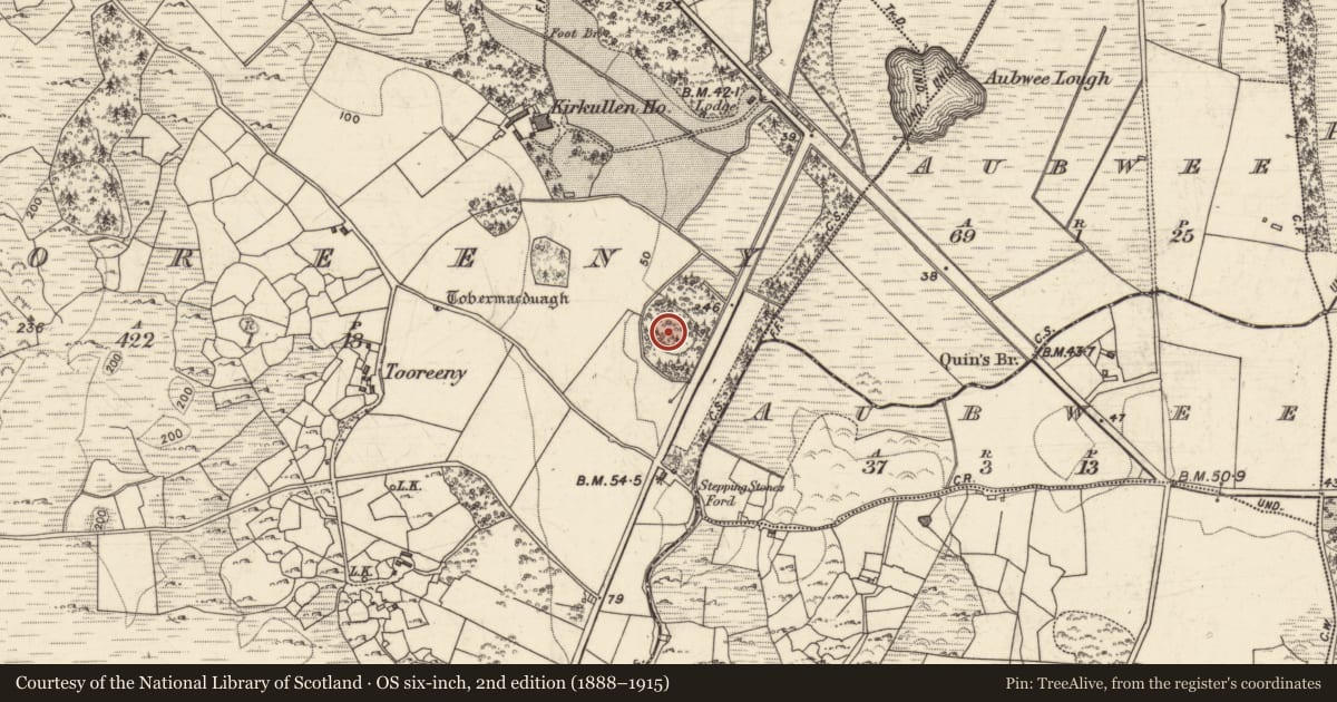 Ordnance Survey six-inch map, 2nd edition (1888–1915) covering the location of Designed landscape feature, Na Tuairíní, County Galway, with a pin at the register's coordinates