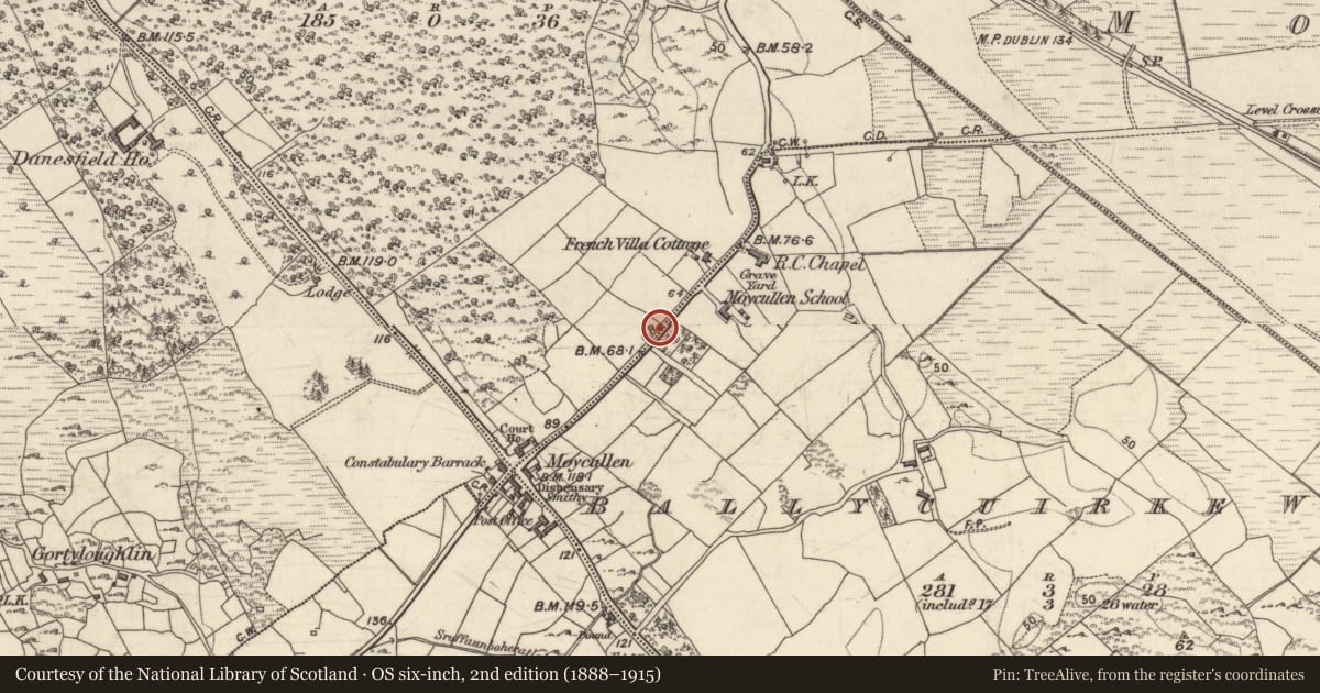 Ordnance Survey six-inch map, 2nd edition (1888–1915) covering the location of Town, County Galway, with a pin at the register's coordinates