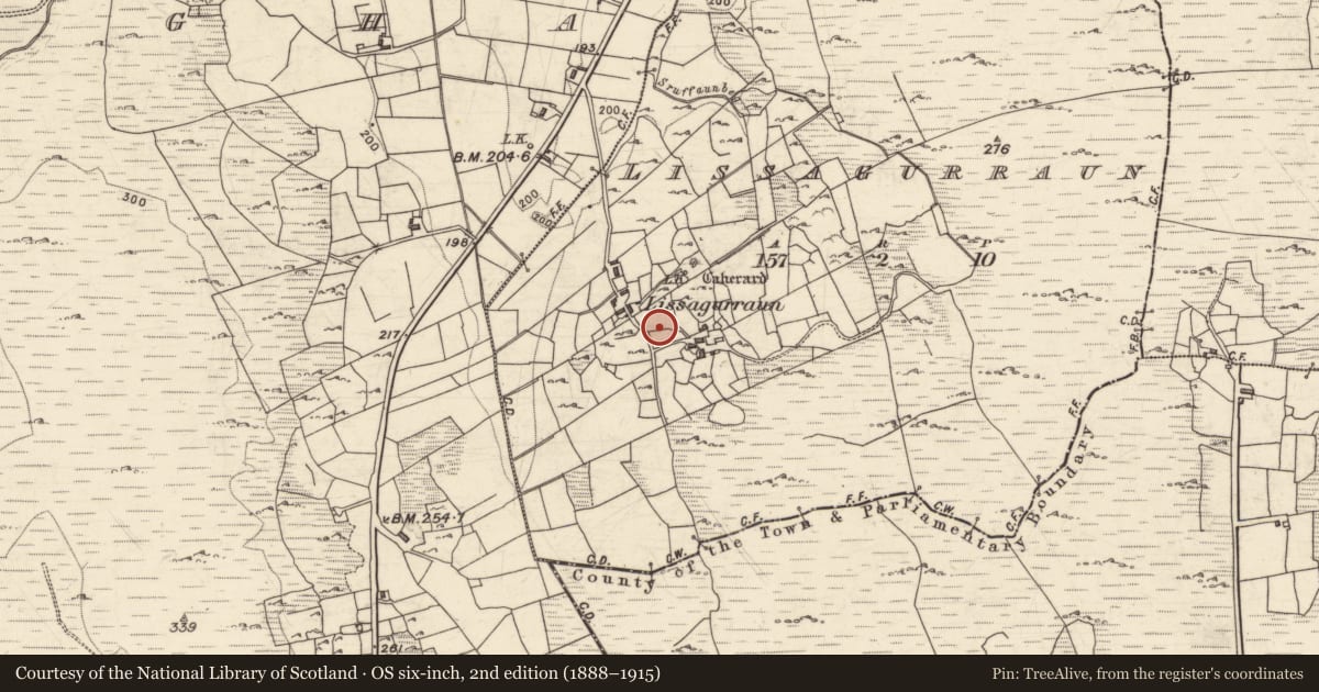 Ordnance Survey six-inch map, 2nd edition (1888–1915) covering the location of Field boundary, Lios An Gharráin, County Galway, with a pin at the register's coordinates