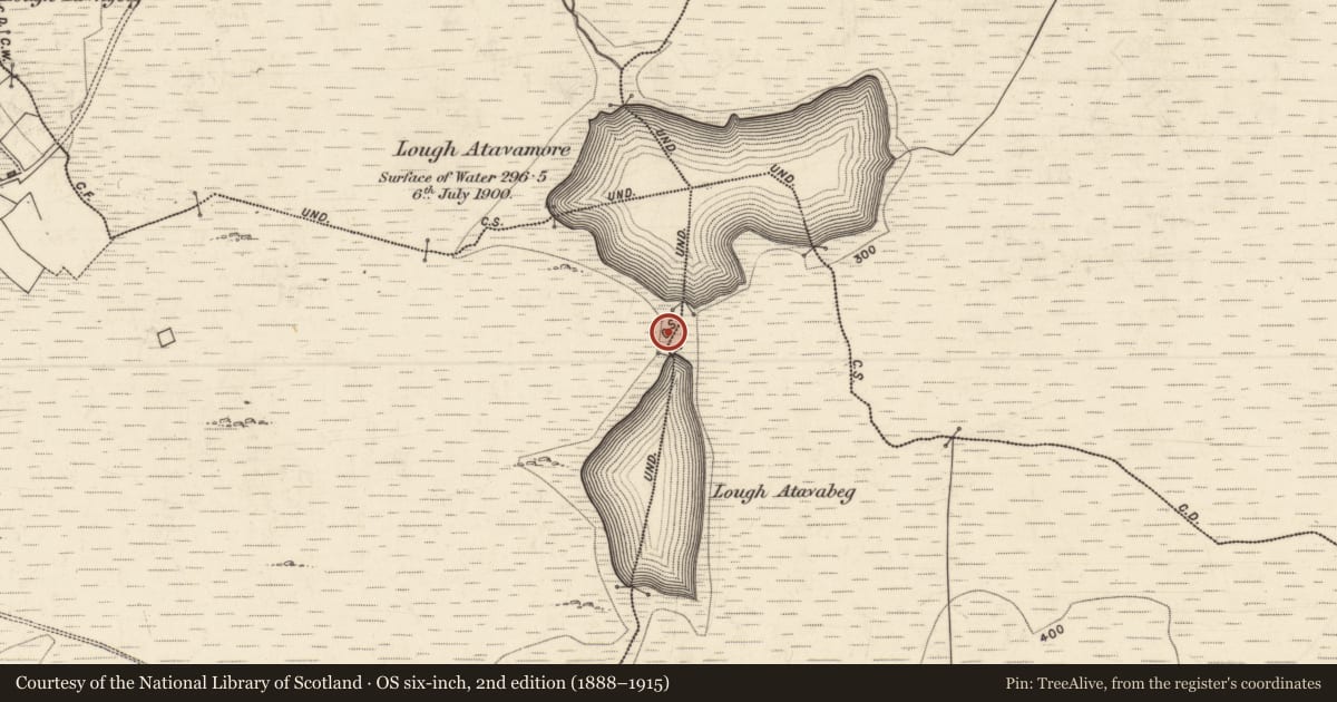Ordnance Survey six-inch map, 2nd edition (1888–1915) covering the location of Water mill - horizontal-wheeled, Liathleitir, County Galway, with a pin at the register's coordinates