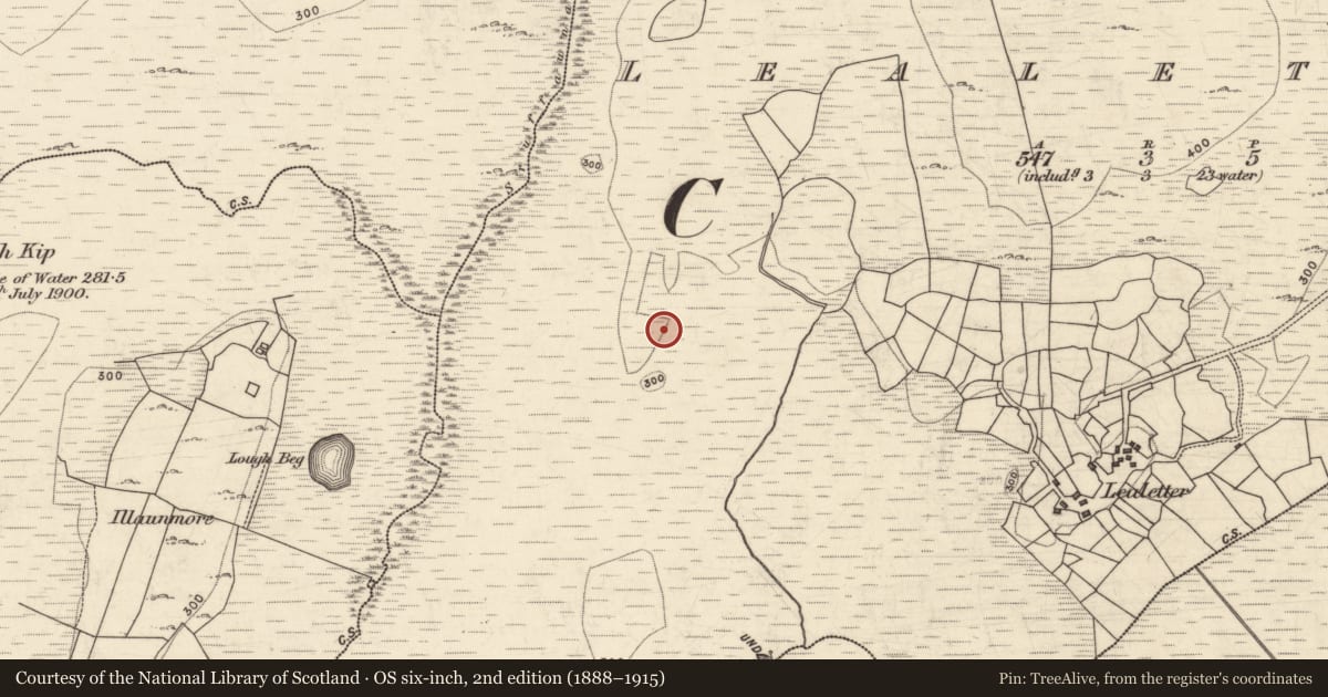 Ordnance Survey six-inch map, 2nd edition (1888–1915) covering the location of Ringfort - rath, Liathleitir, County Galway, with a pin at the register's coordinates