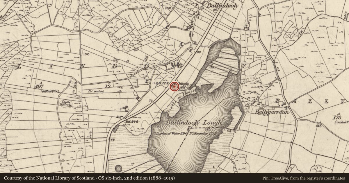 Ordnance Survey six-inch map, 2nd edition (1888–1915) covering the location of Castle - tower house, Ballindooly, County Galway, with a pin at the register's coordinates