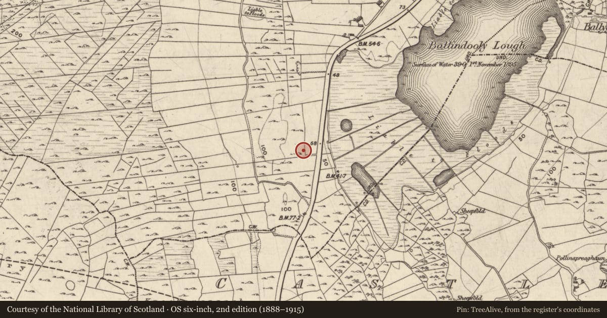 Ordnance Survey six-inch map, 2nd edition (1888–1915) covering the location of Quarry, Ballindooly, County Galway, with a pin at the register's coordinates