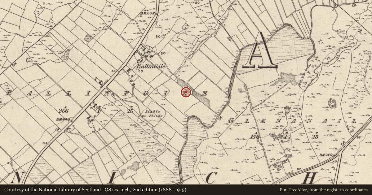Ordnance Survey six-inch map, 2nd edition (1888–1915) covering the location of Quarry, Ballinfoile, County Galway, with a pin at the register's coordinates