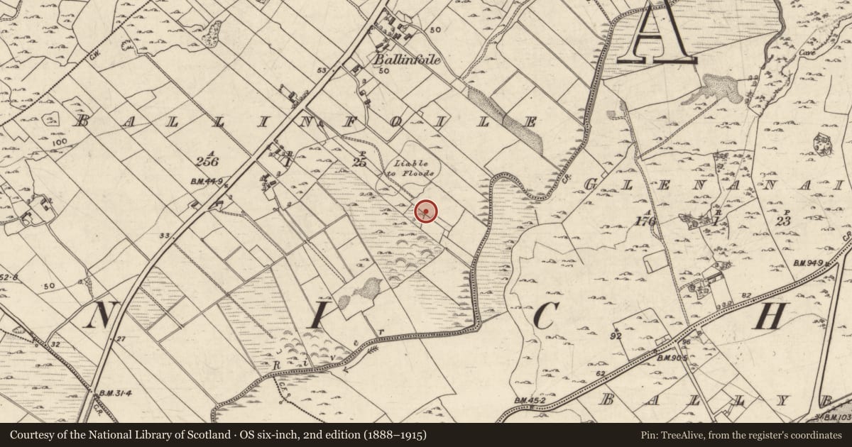 Ordnance Survey six-inch map, 2nd edition (1888–1915) covering the location of Quarry, Ballinfoile, County Galway, with a pin at the register's coordinates