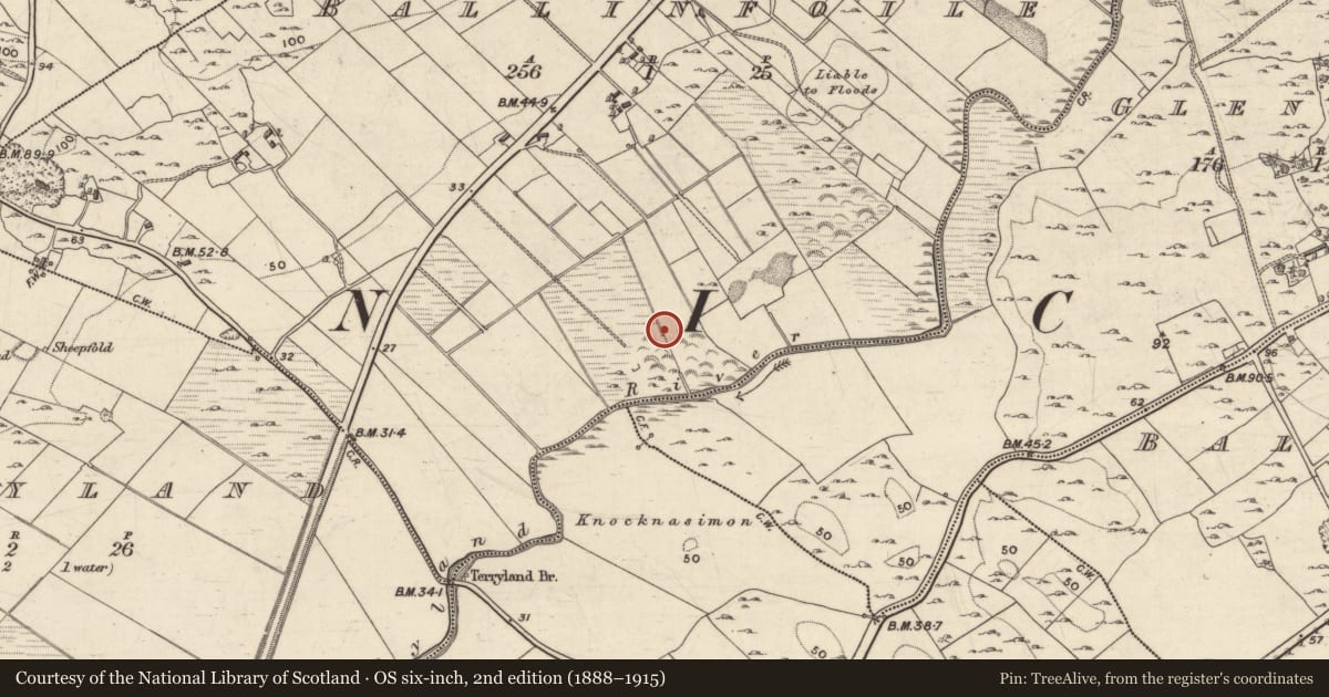 Ordnance Survey six-inch map, 2nd edition (1888–1915) covering the location of Quarry, Ballinfoile, County Galway, with a pin at the register's coordinates