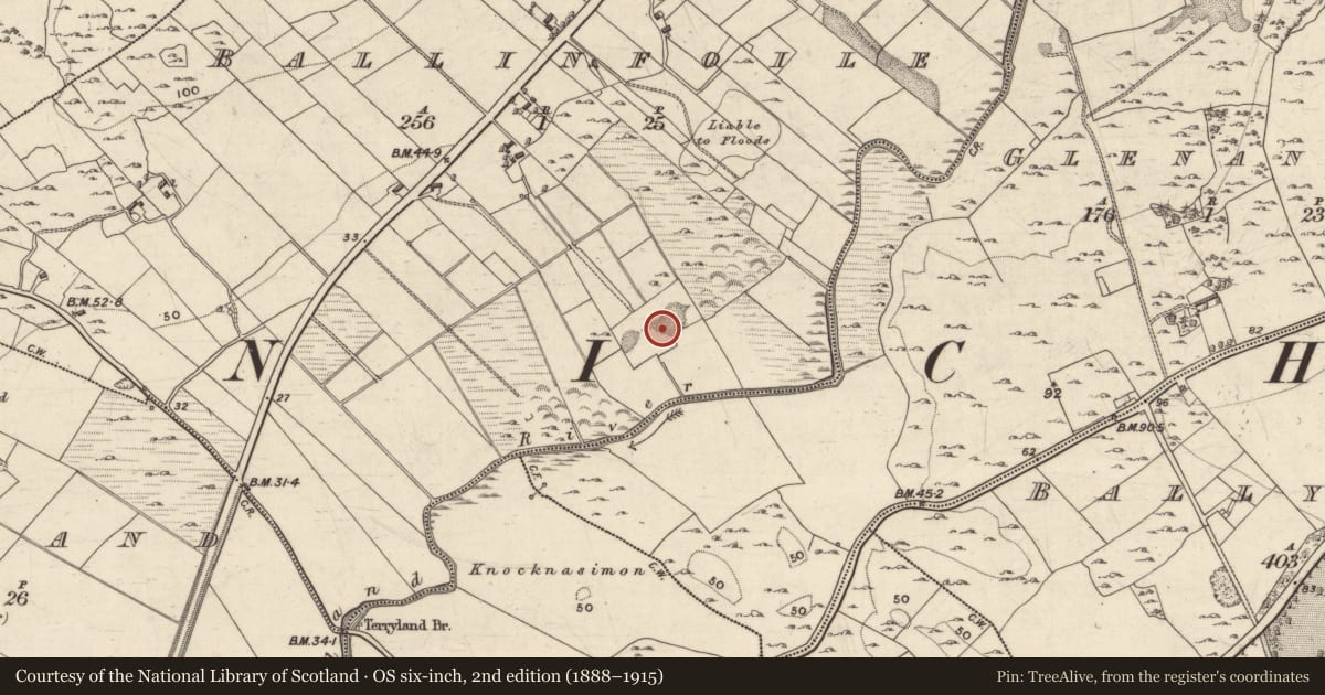 Ordnance Survey six-inch map, 2nd edition (1888–1915) covering the location of Quarry, Ballinfoile, County Galway, with a pin at the register's coordinates