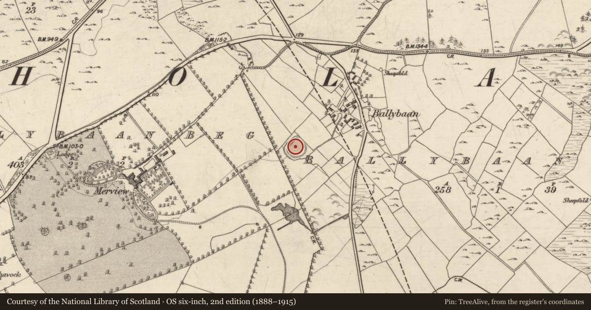 Ordnance Survey six-inch map, 2nd edition (1888–1915) covering the location of Souterrain, Ballybaan More, County Galway, with a pin at the register's coordinates