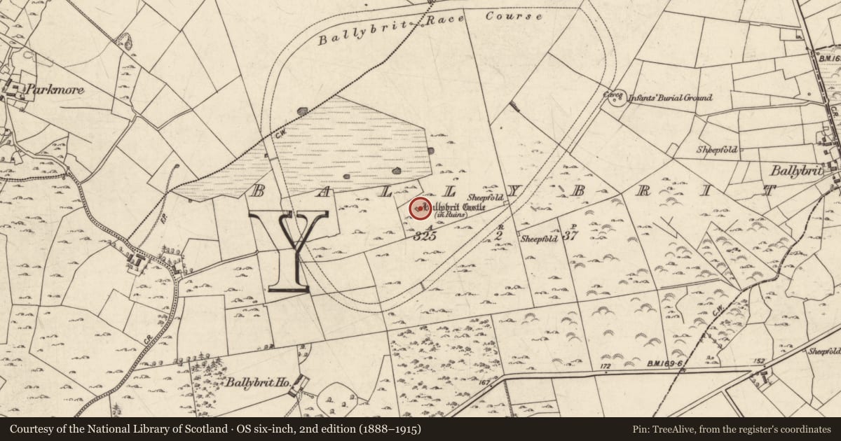 Ordnance Survey six-inch map, 2nd edition (1888–1915) covering the location of Castle - tower house, Ballybrit, County Galway, with a pin at the register's coordinates