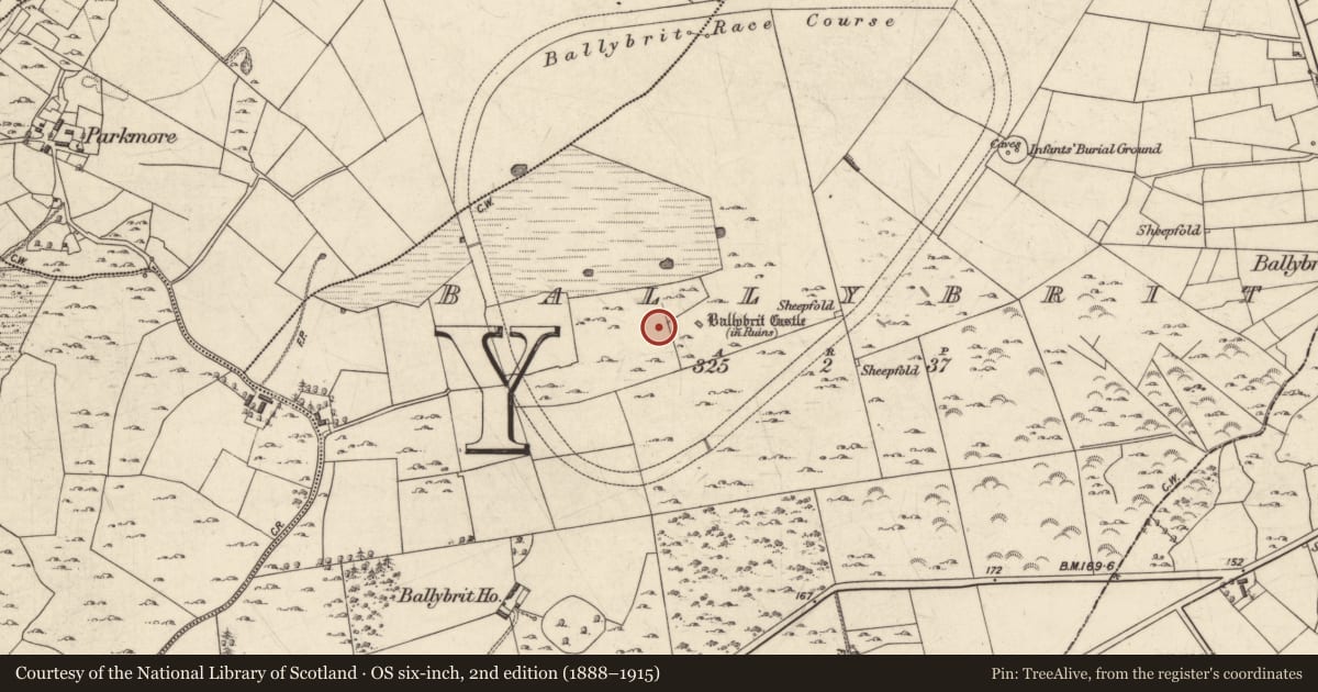Ordnance Survey six-inch map, 2nd edition (1888–1915) covering the location of Settlement deserted - medieval, Ballybrit, County Galway, with a pin at the register's coordinates
