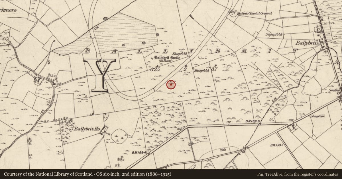 Ordnance Survey six-inch map, 2nd edition (1888–1915) covering the location of Enclosure, Ballybrit, County Galway, with a pin at the register's coordinates