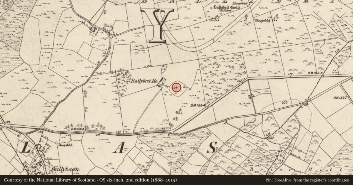 Ordnance Survey six-inch map, 2nd edition (1888–1915) covering the location of Designed landscape feature, Ballybrit, County Galway, with a pin at the register's coordinates