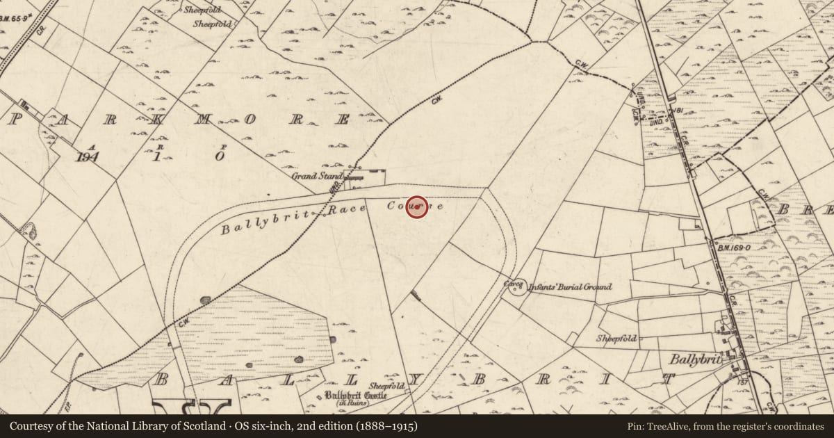 Ordnance Survey six-inch map, 2nd edition (1888–1915) covering the location of Anomalous stone group, Ballybrit, County Galway, with a pin at the register's coordinates