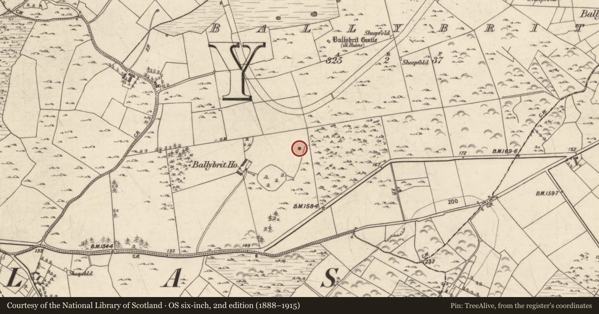 Ordnance Survey six-inch map, 2nd edition (1888–1915) covering the location of Earthwork, Ballybrit, County Galway, with a pin at the register's coordinates