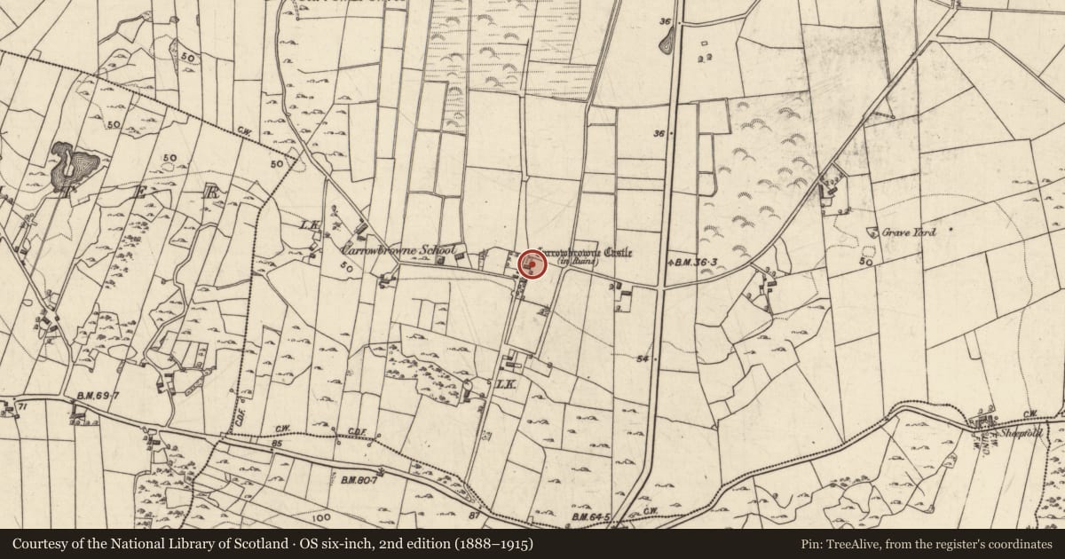 Ordnance Survey six-inch map, 2nd edition (1888–1915) covering the location of Castle - unclassified, Ceathrú An Bhrúnaigh, County Galway, with a pin at the register's coordinates