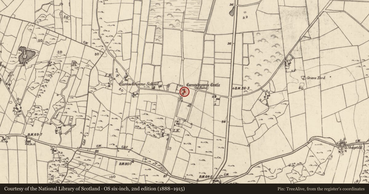 Ordnance Survey six-inch map, 2nd edition (1888–1915) covering the location of Inscribed stone, Ceathrú An Bhrúnaigh, County Galway, with a pin at the register's coordinates