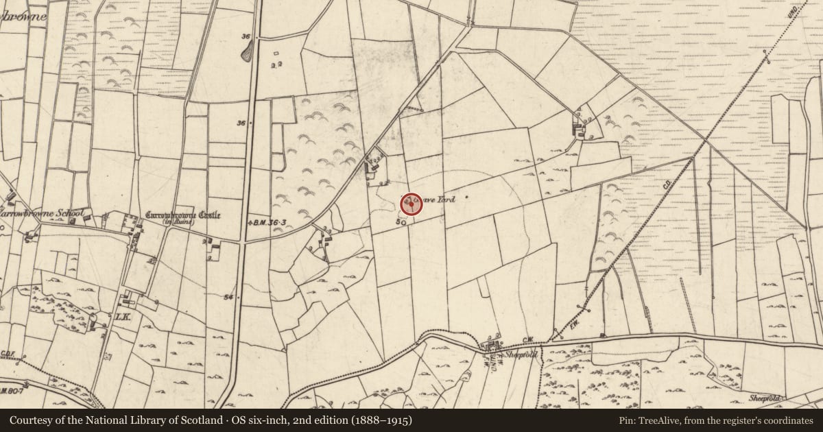 Ordnance Survey six-inch map, 2nd edition (1888–1915) covering the location of Burial ground, Ceathrú An Bhrúnaigh, County Galway, with a pin at the register's coordinates