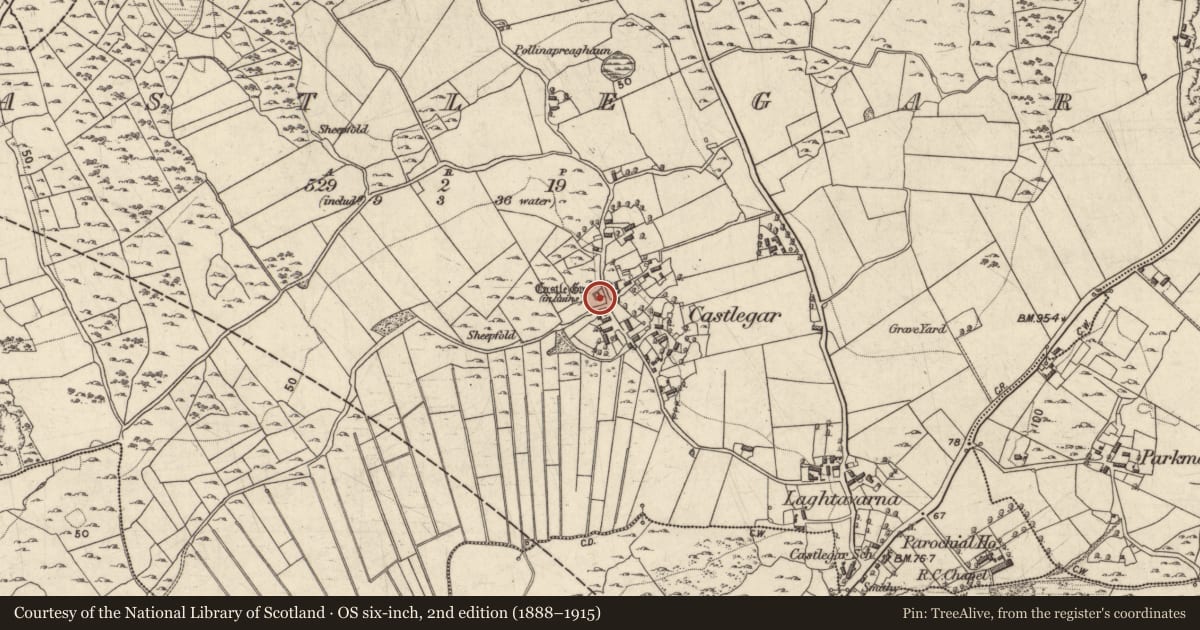 Ordnance Survey six-inch map, 2nd edition (1888–1915) covering the location of Castle - tower house, Castlegar, County Galway, with a pin at the register's coordinates