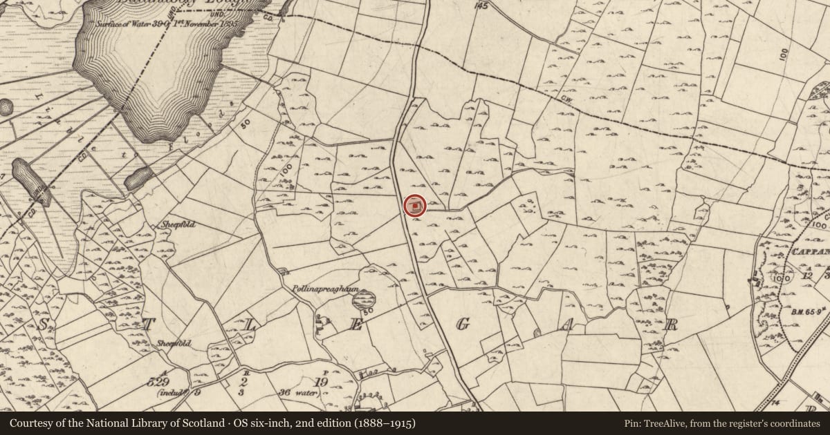 Ordnance Survey six-inch map, 2nd edition (1888–1915) covering the location of Chapel, Castlegar, County Galway, with a pin at the register's coordinates