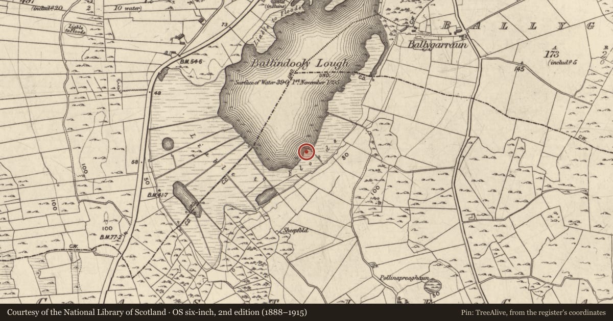 Ordnance Survey six-inch map, 2nd edition (1888–1915) covering the location of Crannog, Castlegar, County Galway, with a pin at the register's coordinates