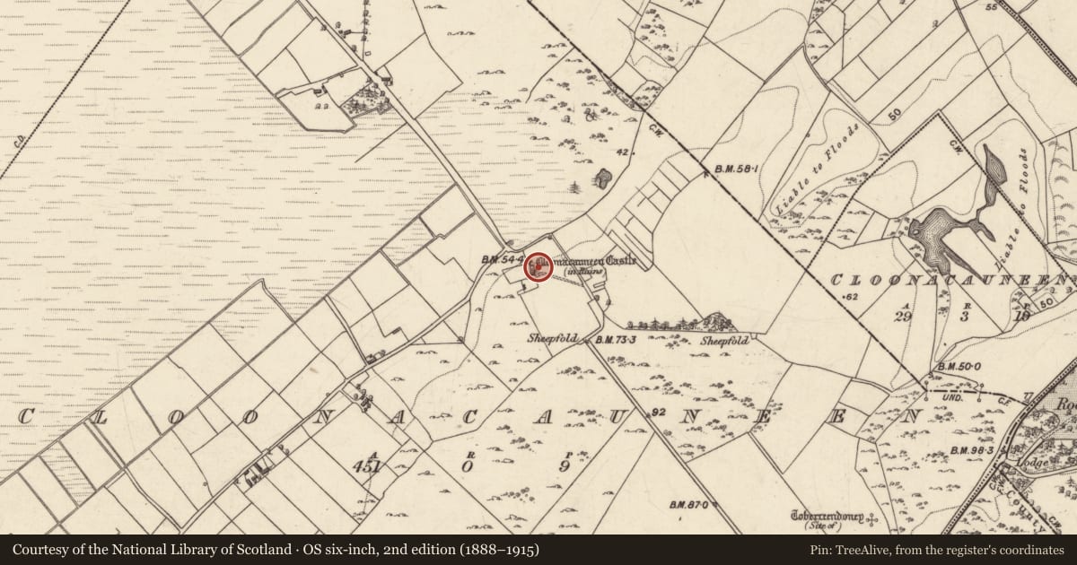 Ordnance Survey six-inch map, 2nd edition (1888–1915) covering the location of Castle - tower house, Cluain Mhic Cáinín, County Galway, with a pin at the register's coordinates