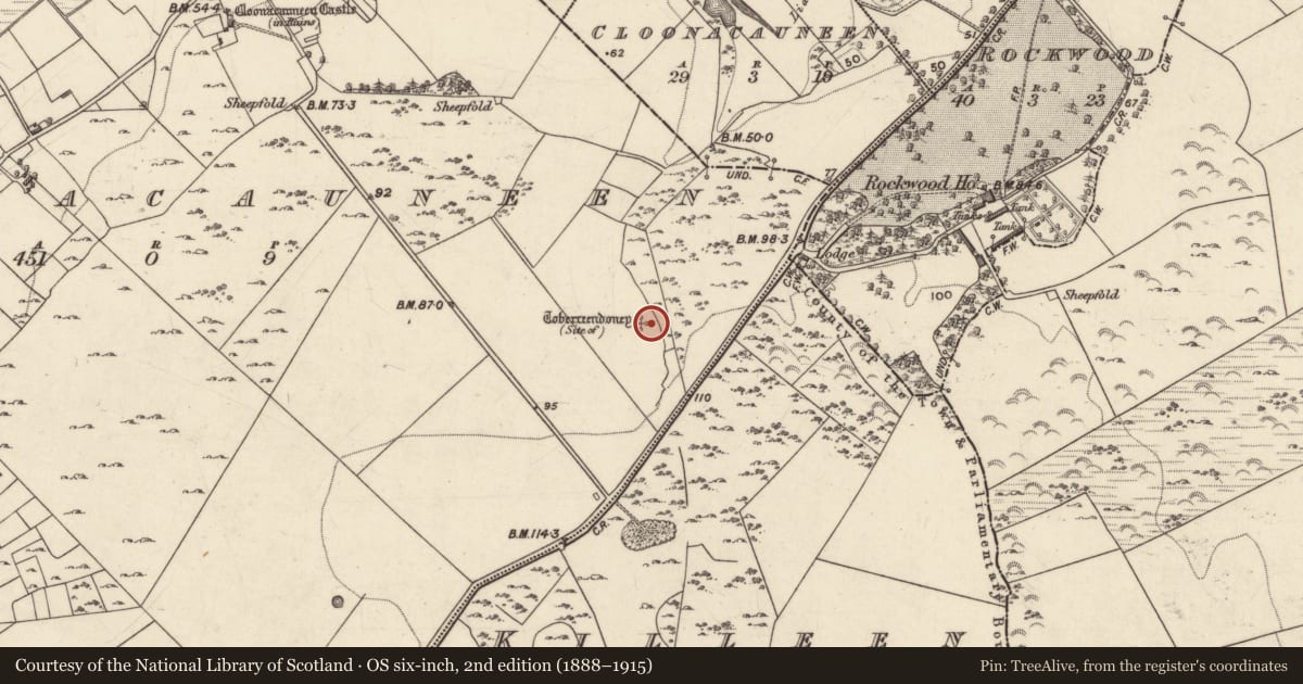 Ordnance Survey six-inch map, 2nd edition (1888–1915) covering the location of Ritual site - holy well, Cluain Mhic Cáinín, County Galway, with a pin at the register's coordinates