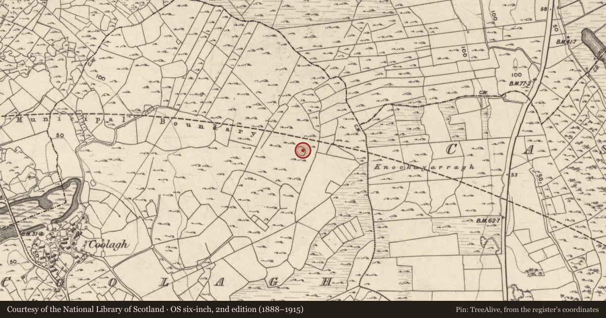 Ordnance Survey six-inch map, 2nd edition (1888–1915) covering the location of Enclosure, Coolagh, County Galway, with a pin at the register's coordinates