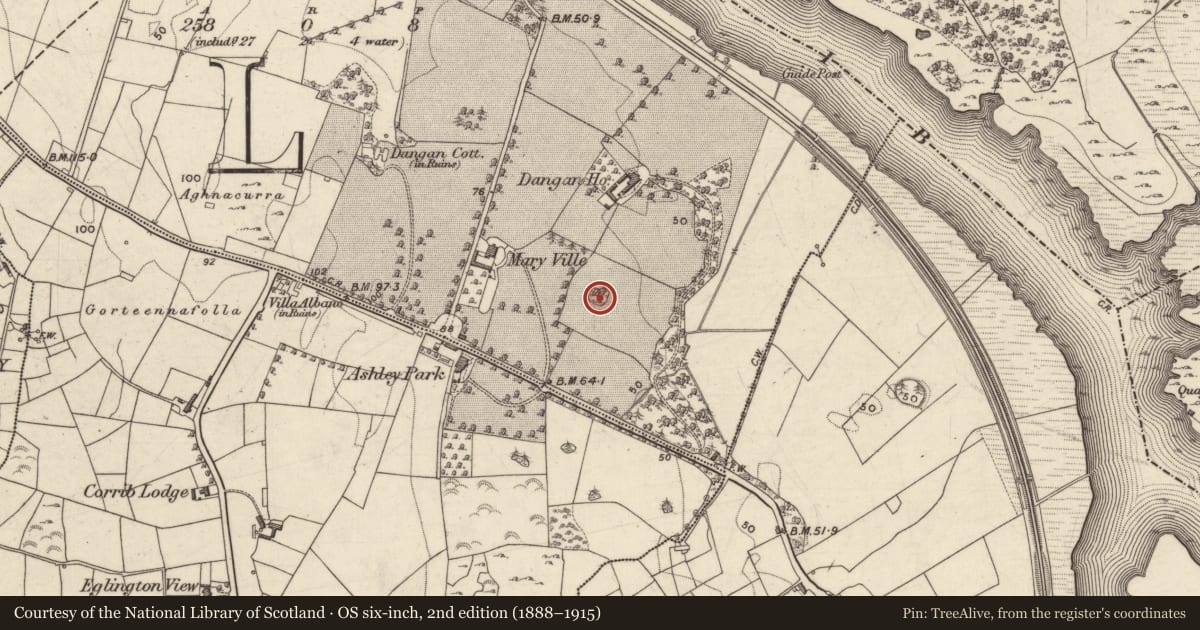 Ordnance Survey six-inch map, 2nd edition (1888–1915) covering the location of Ringfort - unclassified, Dangan Lower, County Galway, with a pin at the register's coordinates