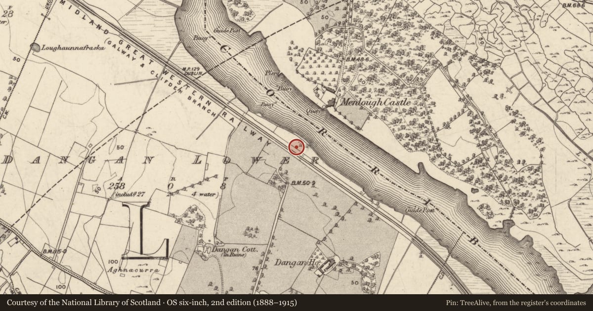Ordnance Survey six-inch map, 2nd edition (1888–1915) covering the location of House - 18th/19th century, Dangan Lower, County Galway, with a pin at the register's coordinates