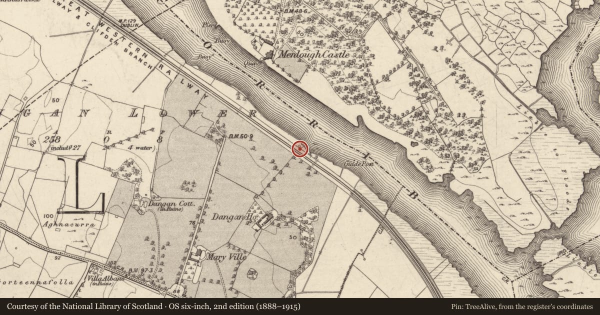 Ordnance Survey six-inch map, 2nd edition (1888–1915) covering the location of Designed landscape - summer house, Dangan Lower, County Galway, with a pin at the register's coordinates