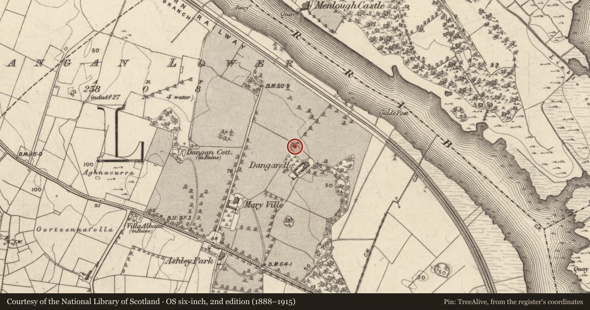 Ordnance Survey six-inch map, 2nd edition (1888–1915) covering the location of Designed landscape feature, Dangan Lower, County Galway, with a pin at the register's coordinates