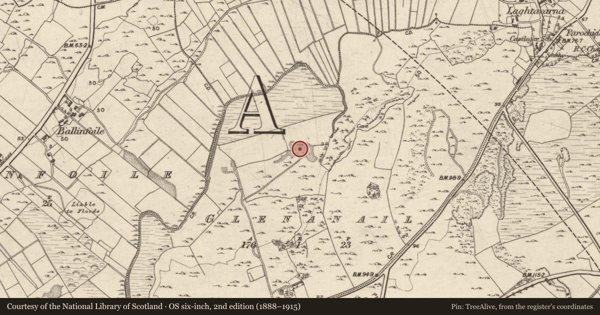 Ordnance Survey six-inch map, 2nd edition (1888–1915) covering the location of Quarry, Glenanail, County Galway, with a pin at the register's coordinates