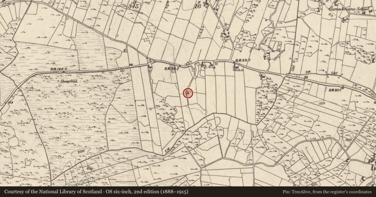 Ordnance Survey six-inch map, 2nd edition (1888–1915) covering the location of Ringfort - unclassified, Kilroghter, County Galway, with a pin at the register's coordinates
