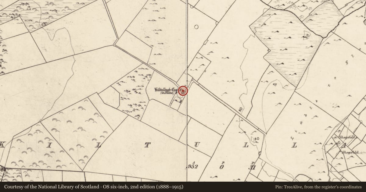 Ordnance Survey six-inch map, 2nd edition (1888–1915) covering the location of Castle - tower house, Kiltullagh, County Galway, with a pin at the register's coordinates