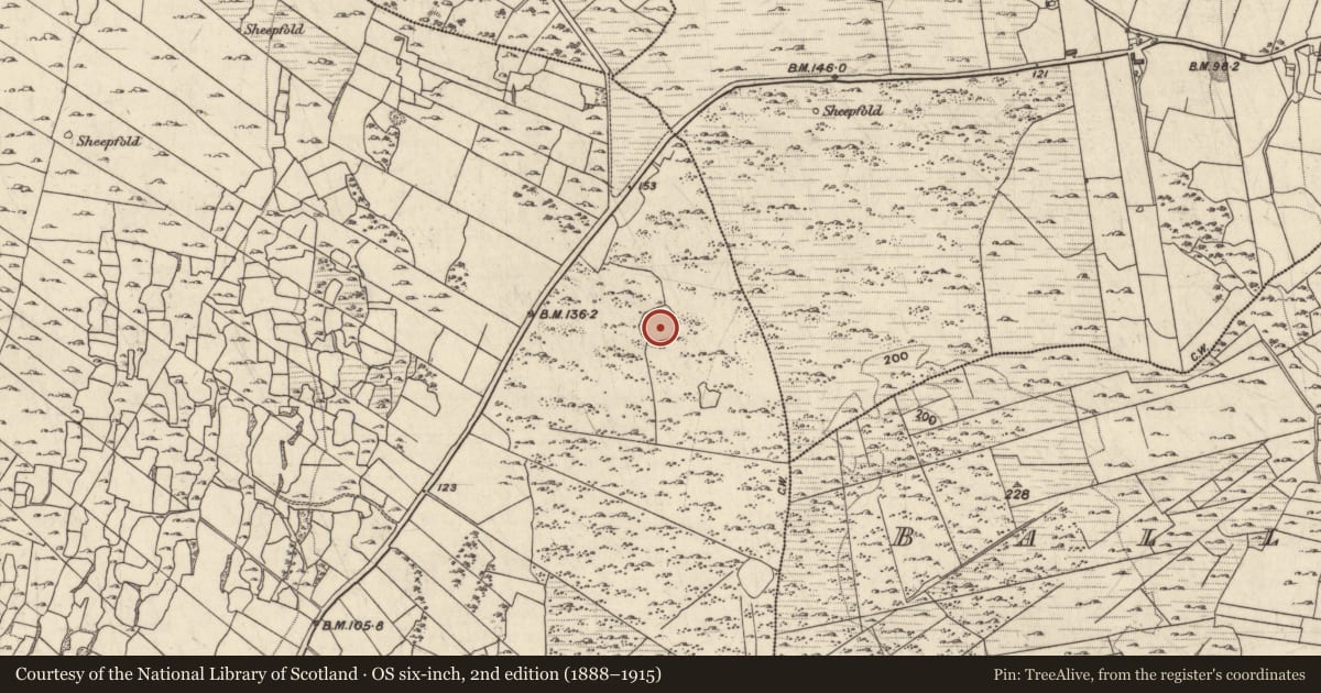 Ordnance Survey six-inch map, 2nd edition (1888–1915) covering the location of Enclosure, Menlough, County Galway, with a pin at the register's coordinates