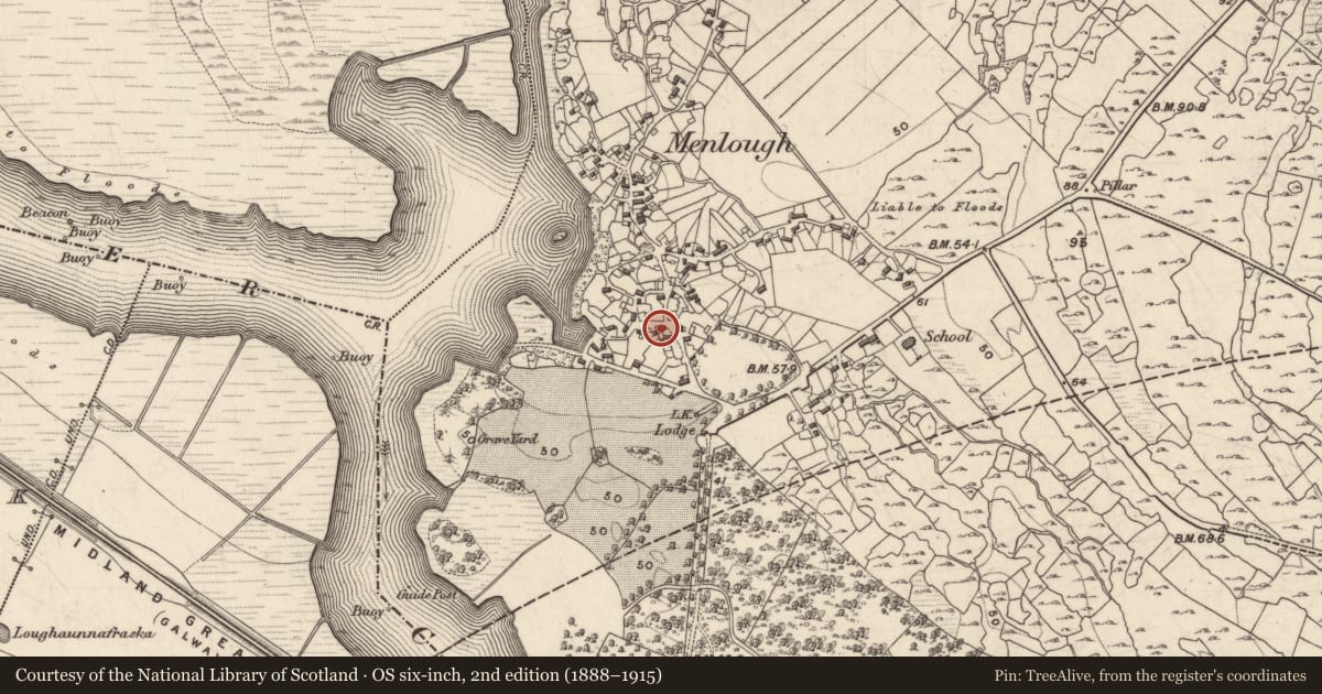 Ordnance Survey six-inch map, 2nd edition (1888–1915) covering the location of Pillar stone (present location), Menlough, County Galway, with a pin at the register's coordinates