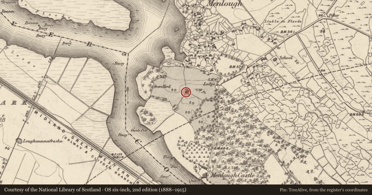 Ordnance Survey six-inch map, 2nd edition (1888–1915) covering the location of Designed landscape feature, Menlough, County Galway, with a pin at the register's coordinates