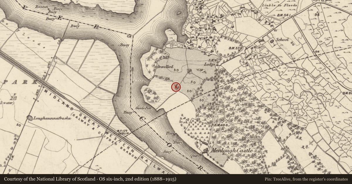 Ordnance Survey six-inch map, 2nd edition (1888–1915) covering the location of Designed landscape feature, Menlough, County Galway, with a pin at the register's coordinates